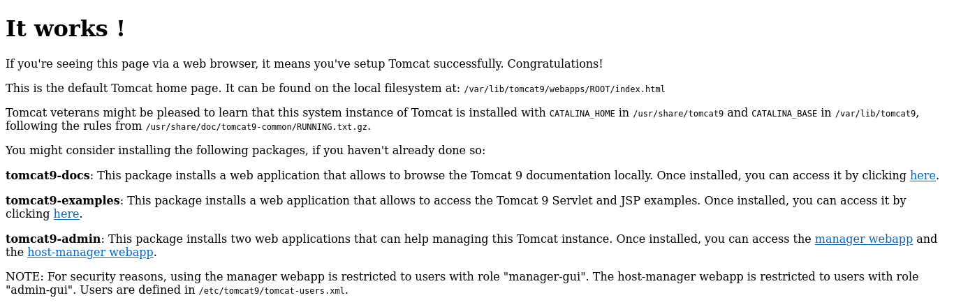 Screenshot 2023-06-26 at 18-25-26 Apache Tomcat.png